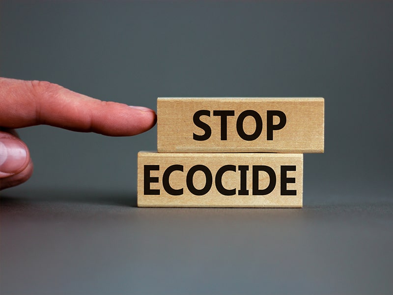 Ecocide