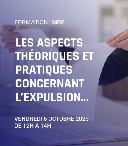 Les aspects théoriques et pratiques concernant l’expulsion domiciliaire et autres mesures exécutoires